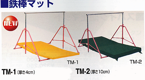 TM-1-2.gif